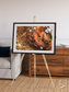 Sunlit Dunes, North America Framed & Mounted Print