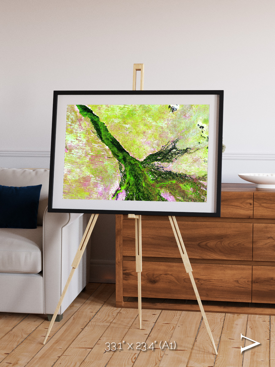 Inland Bloom, Okavango Framed & Mounted Print