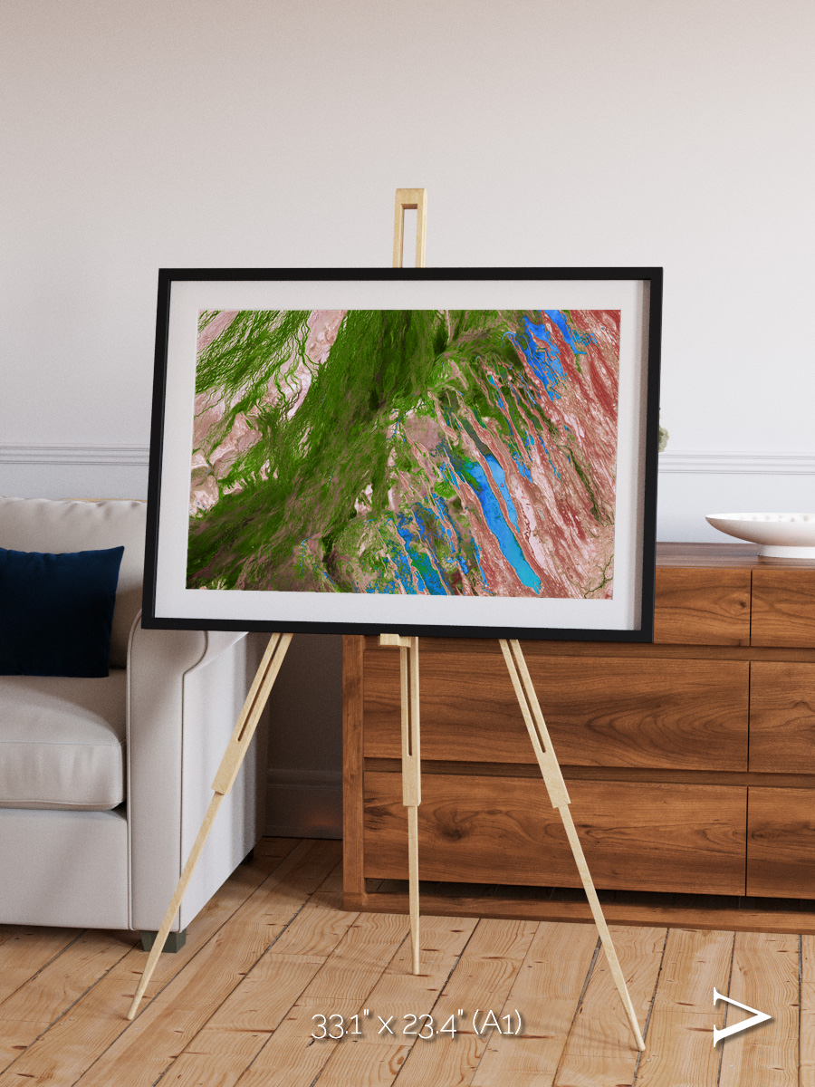 Desert Bloom, Lake Eyre Basin Framed & Mounted Print