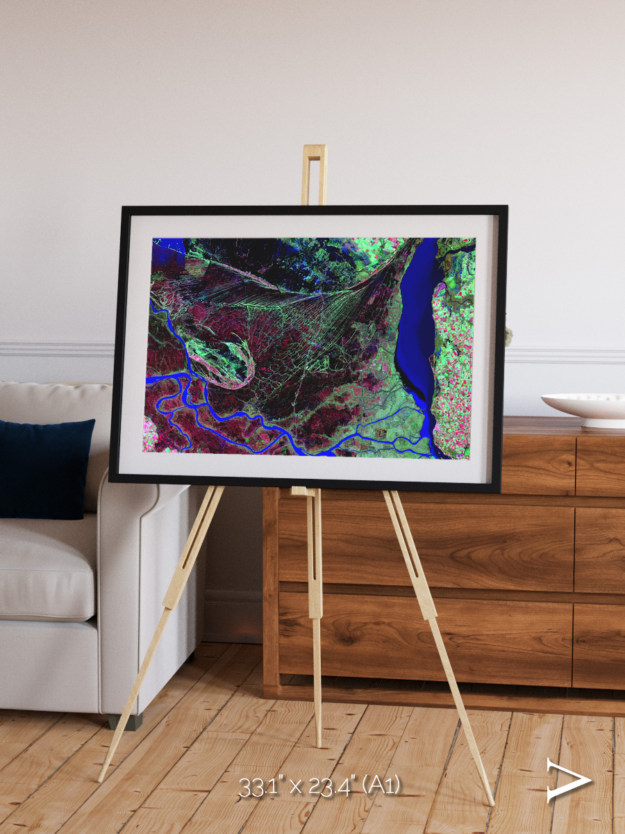 Braided Delta, Parana River Delta Framed & Mounted Print