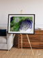 Dormant Giants, Richat Structure Framed & Mounted Print