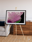 Monsoon Divide, Dhofar Framed & Mounted Print