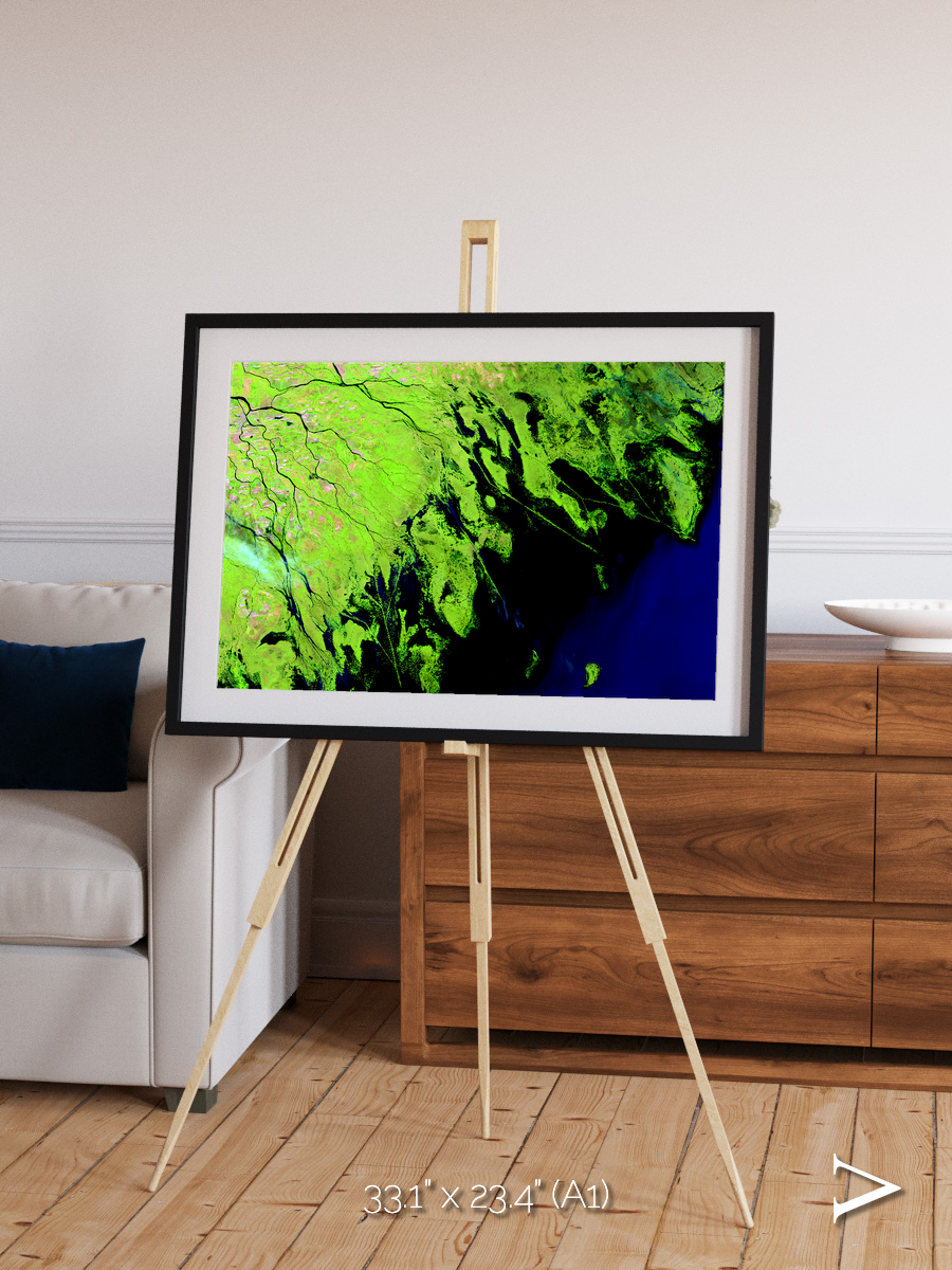Delta Mosaic, Volga River Delta Framed & Mounted Print