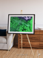 Polar Flow, Yukon Delta Framed & Mounted Print