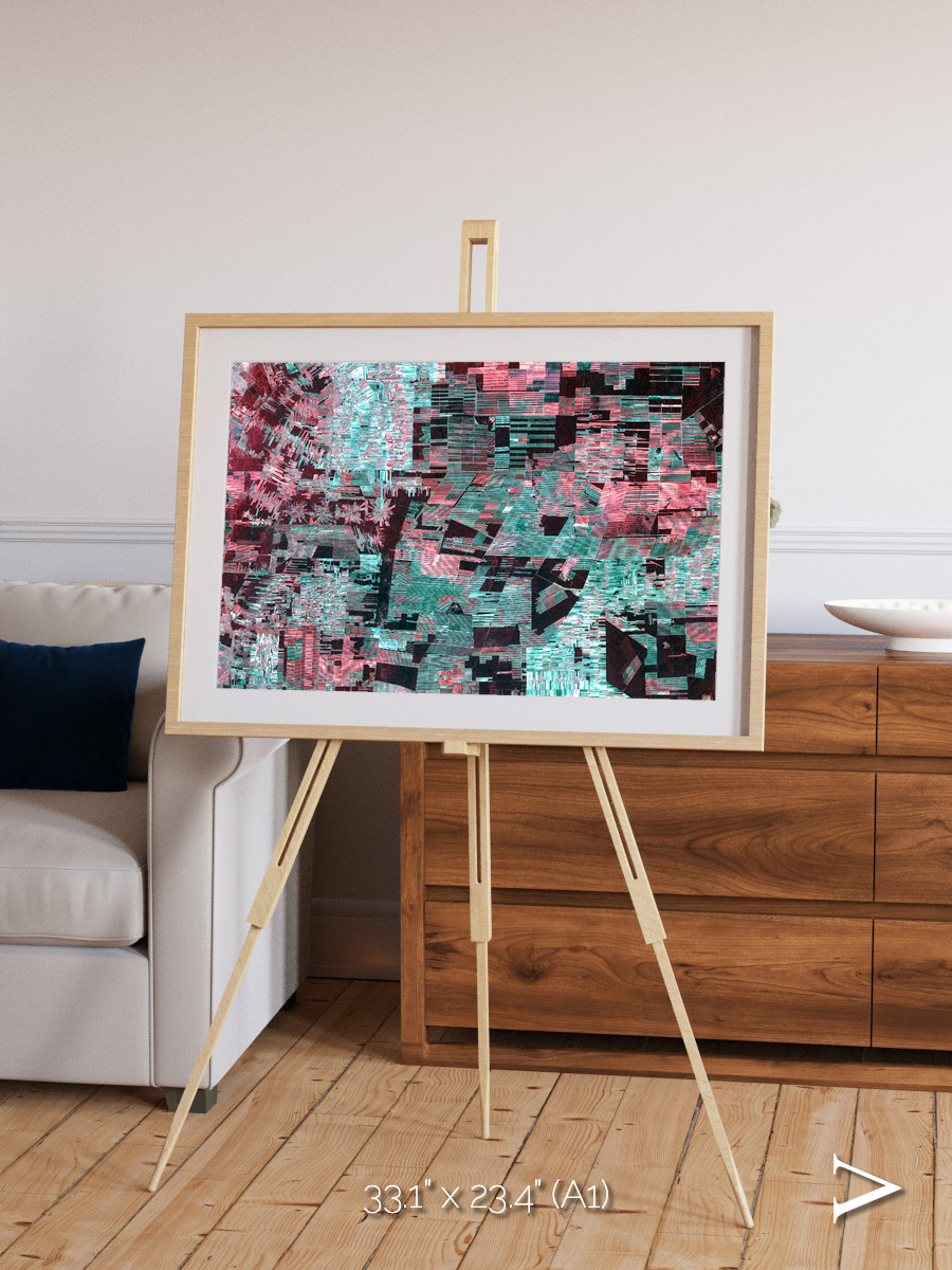 Fractured Canopy, Bolivia Framed & Mounted Print