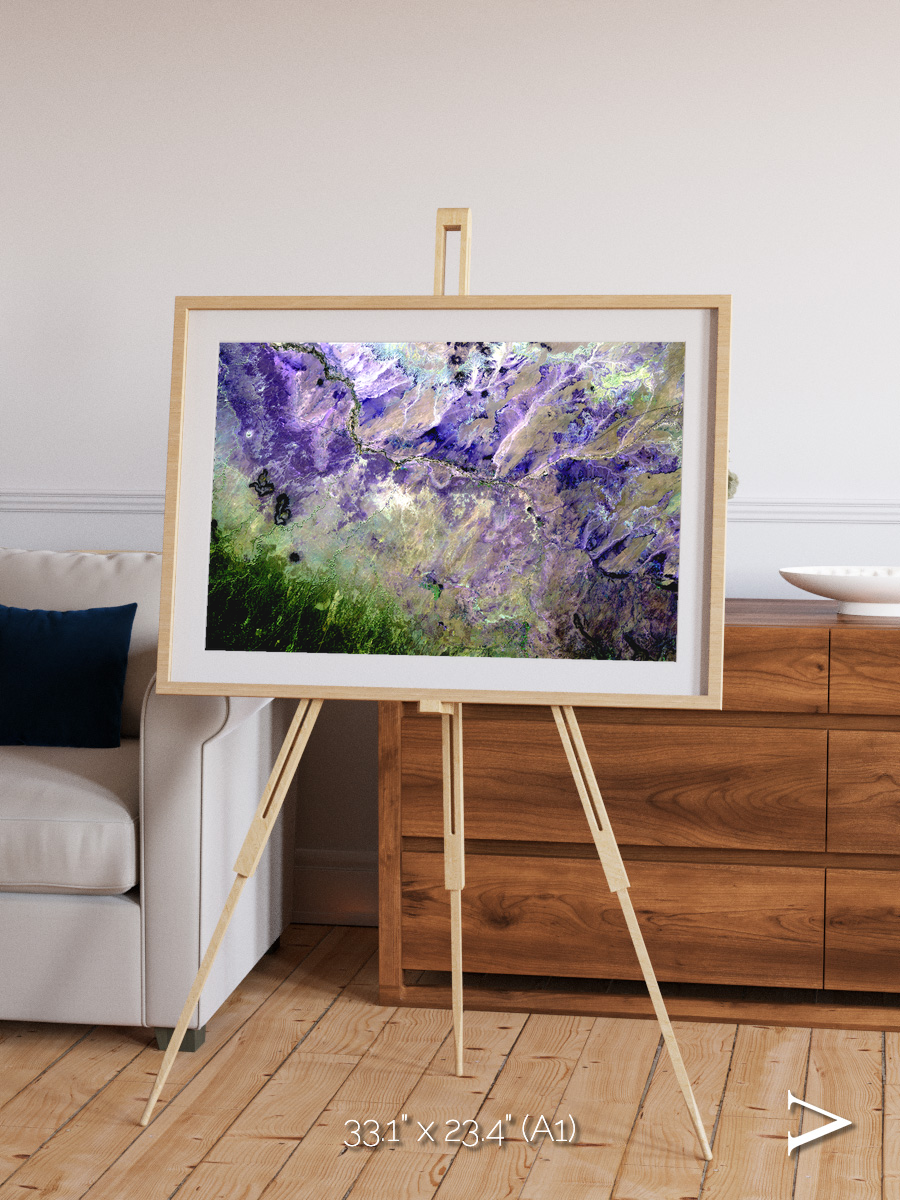 Arid Mosaic, Desert to Forest Framed & Mounted Print