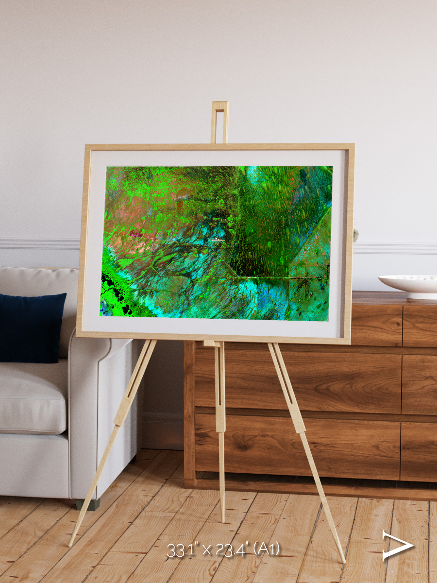 Linear Dunes, Florida Everglades Framed & Mounted Print
