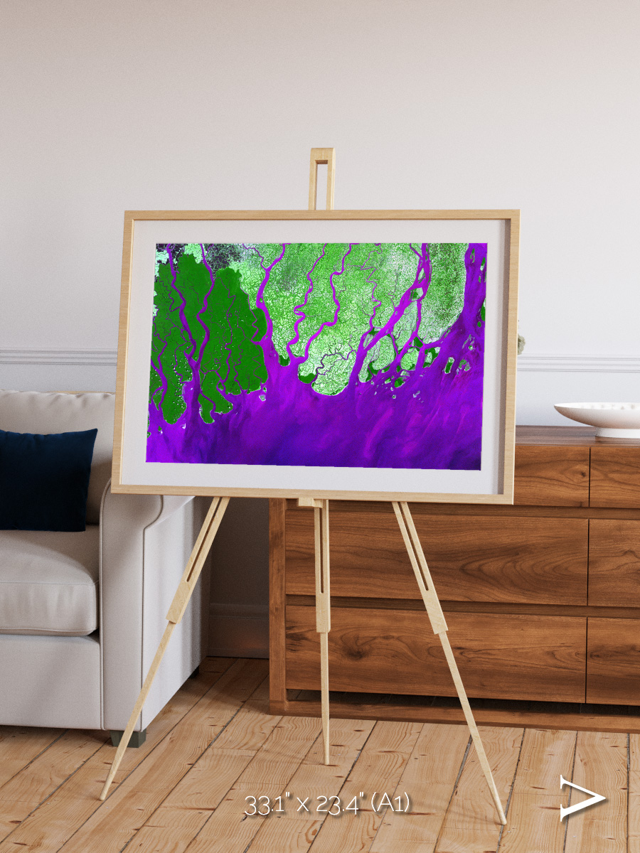 Delta Mosaic, Ganges River Delta Framed & Mounted Print
