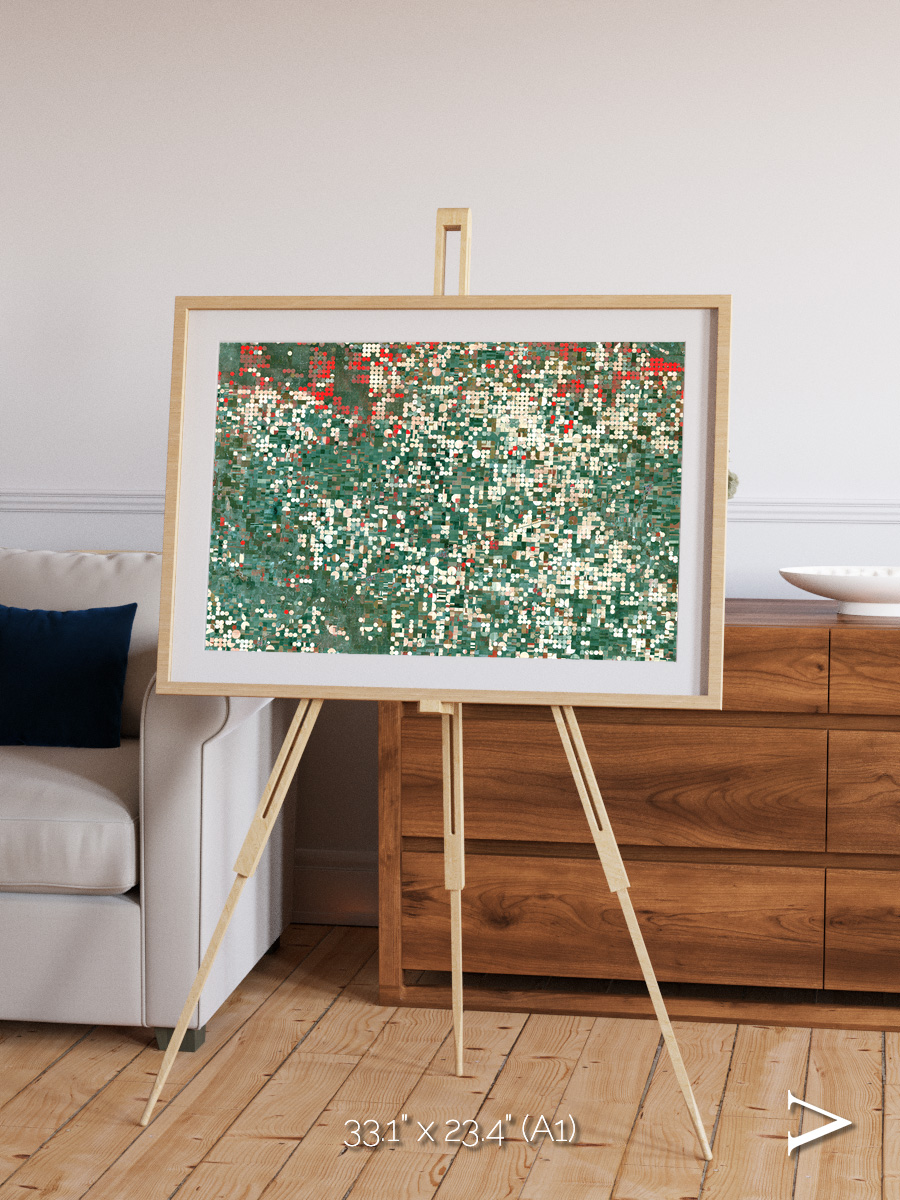 Patterns of Growth, Garden City Framed & Mounted Print