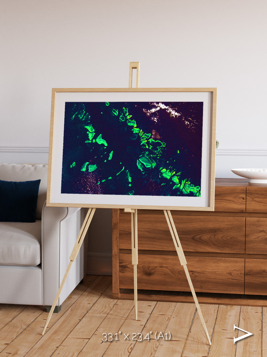 Patterned Ground, Great Barrier Reef Framed & Mounted Print