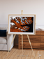 Striped Coast, Eyjafjörður Framed & Mounted Print