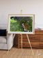 Vortex Trails, Mount Elgon Framed & Mounted Print