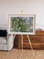 Earth in Colour, Namaqualand Framed & Mounted Print