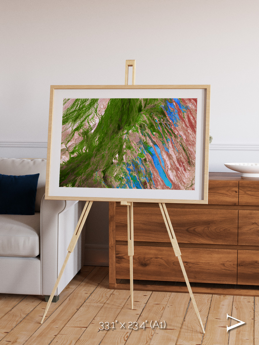 Desert Bloom, Lake Eyre Basin Framed & Mounted Print