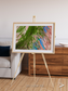 Desert Bloom, Lake Eyre Basin Framed & Mounted Print