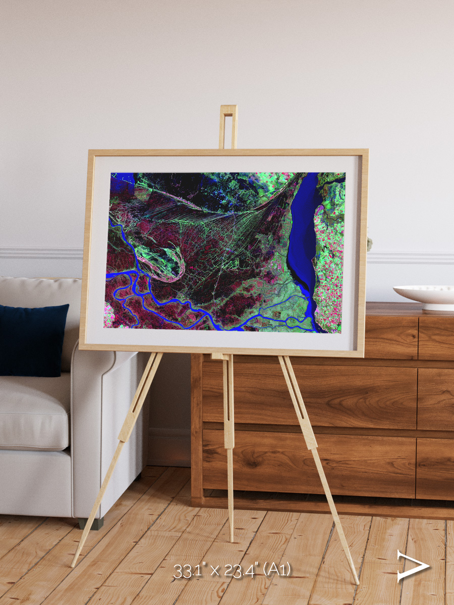 Braided Delta, Parana River Delta Framed & Mounted Print