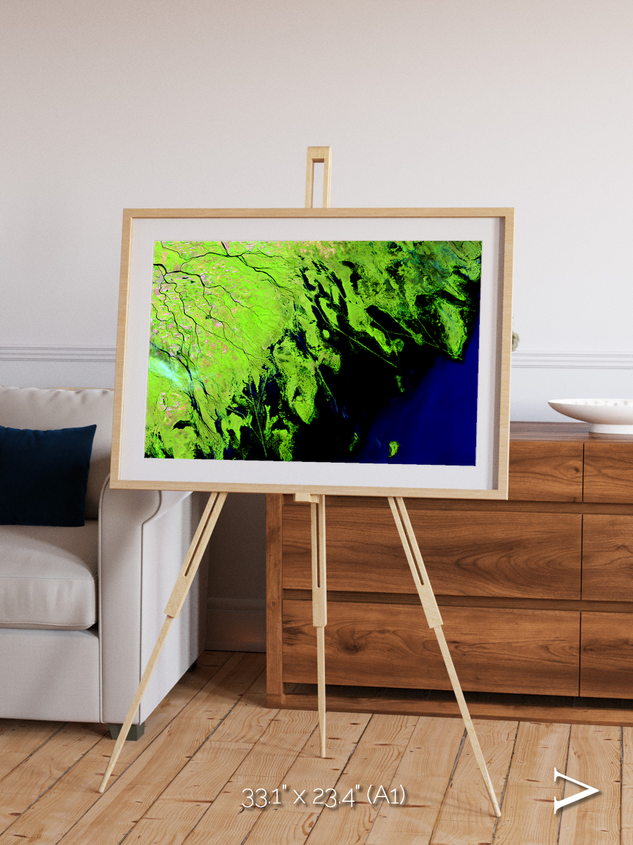 Delta Mosaic, Volga River Delta Framed & Mounted Print