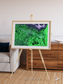 Polar Flow, Yukon Delta Framed & Mounted Print