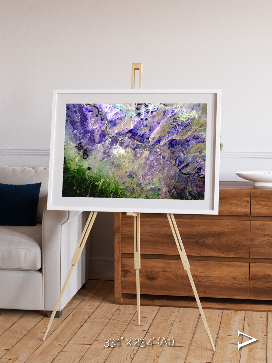 Arid Mosaic, Desert to Forest Framed & Mounted Print