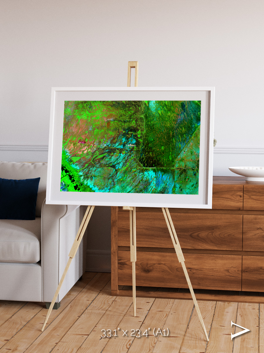 Linear Dunes, Florida Everglades Framed & Mounted Print