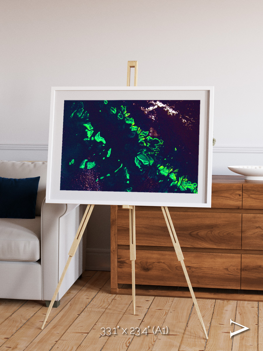 Patterned Ground, Great Barrier Reef Framed & Mounted Print