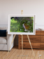 Vortex Trails, Mount Elgon Framed & Mounted Print