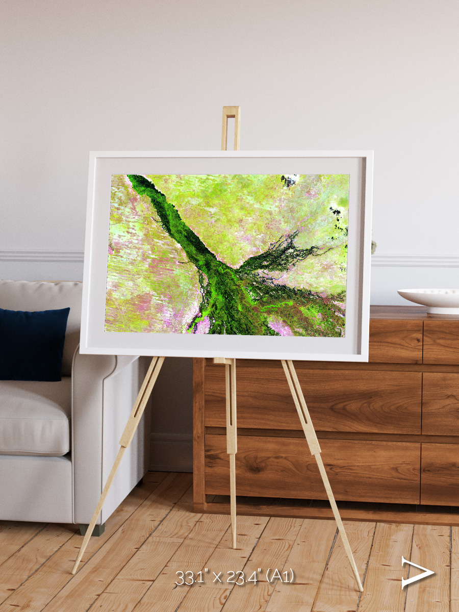 Inland Bloom, Okavango Framed & Mounted Print