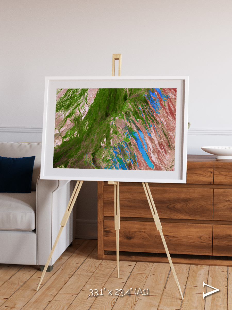 Desert Bloom, Lake Eyre Basin Framed & Mounted Print