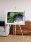 Dormant Giants, Richat Structure Framed & Mounted Print