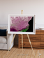 Monsoon Divide, Dhofar Framed & Mounted Print