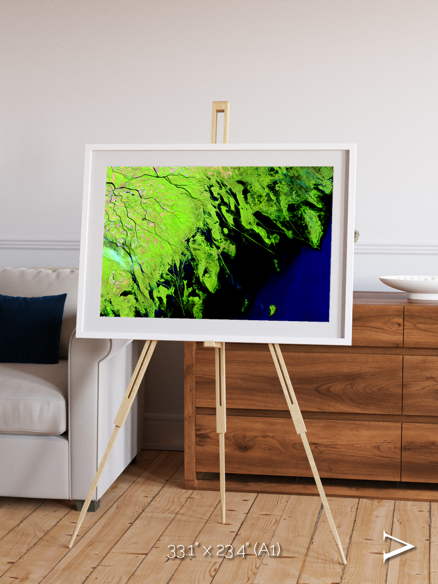 Delta Mosaic, Volga River Delta Framed & Mounted Print