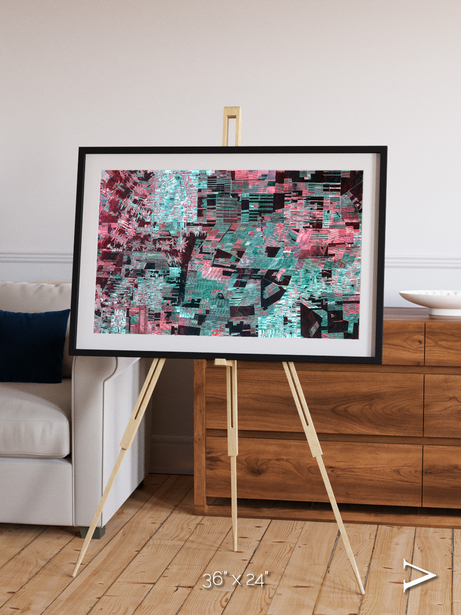 Fractured Canopy, Bolivia Framed & Mounted Print