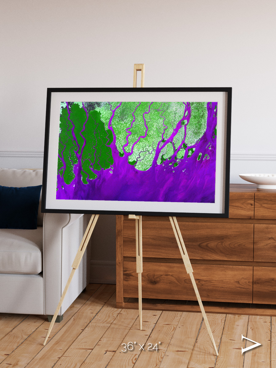 Delta Mosaic, Ganges River Delta Framed & Mounted Print