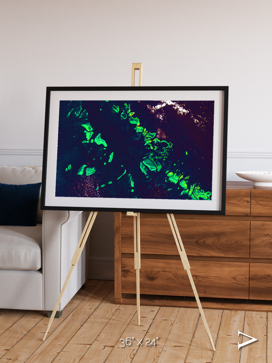 Patterned Ground, Great Barrier Reef Framed & Mounted Print