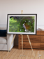 Vortex Trails, Mount Elgon Framed & Mounted Print