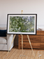 Earth in Colour, Namaqualand Framed & Mounted Print