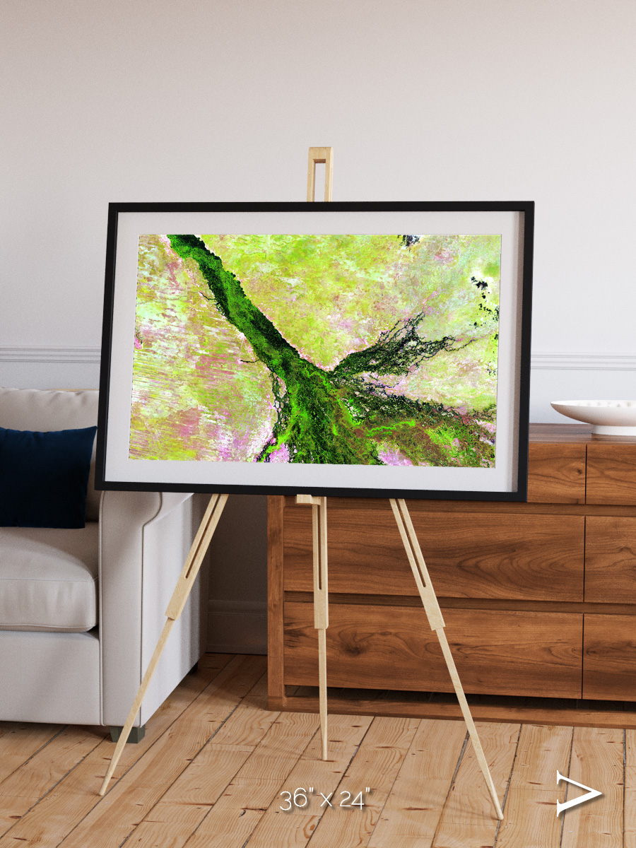 Inland Bloom, Okavango Framed & Mounted Print