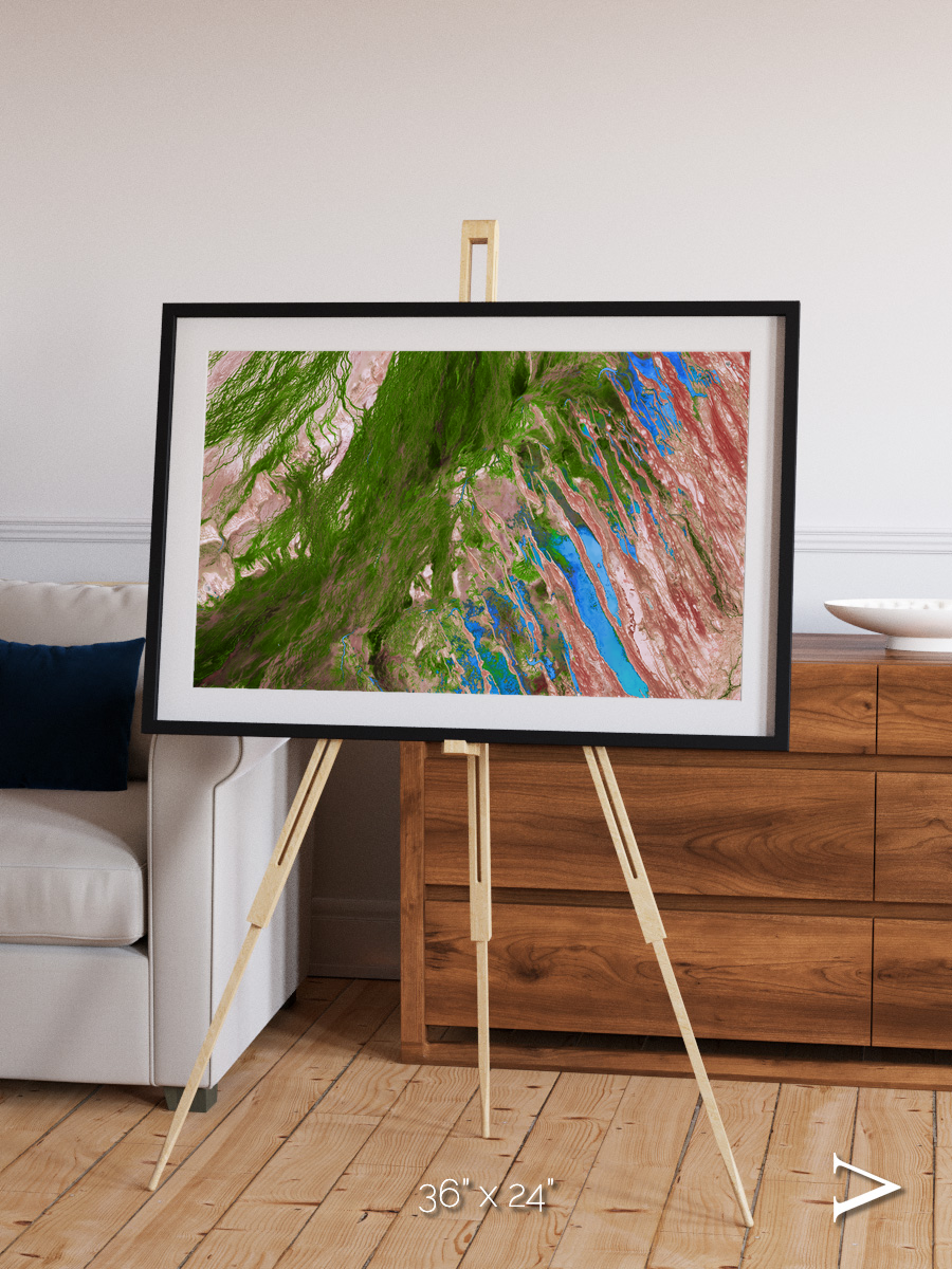 Desert Bloom, Lake Eyre Basin Framed & Mounted Print