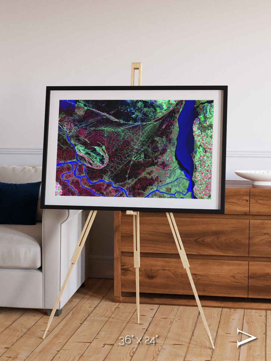 Braided Delta, Parana River Delta Framed & Mounted Print