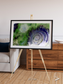 Dormant Giants, Richat Structure Framed & Mounted Print