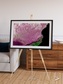 Monsoon Divide, Dhofar Framed & Mounted Print