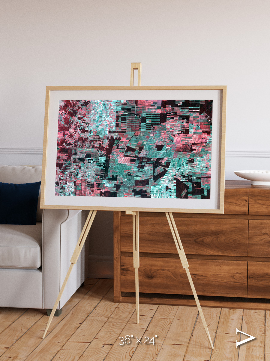 Fractured Canopy, Bolivia Framed & Mounted Print