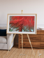 Ice River, Desolation Canyon Framed & Mounted Print