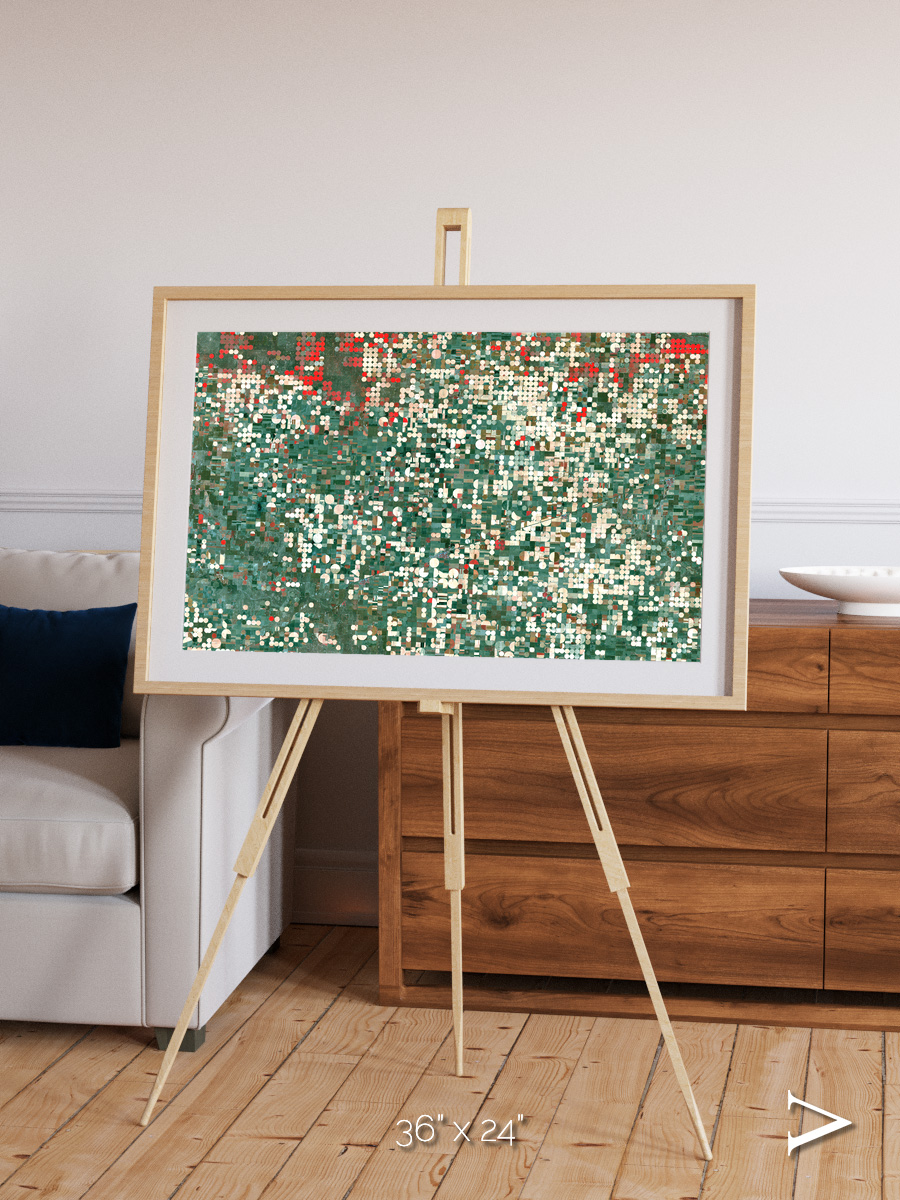 Patterns of Growth, Garden City Framed & Mounted Print