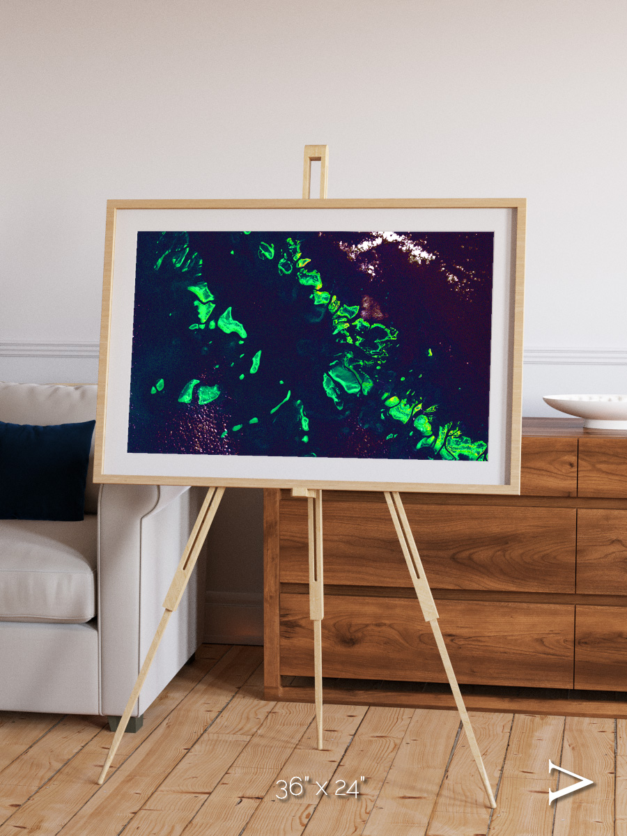 Patterned Ground, Great Barrier Reef Framed & Mounted Print