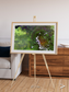 Vortex Trails, Mount Elgon Framed & Mounted Print