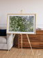 Earth in Colour, Namaqualand Framed & Mounted Print