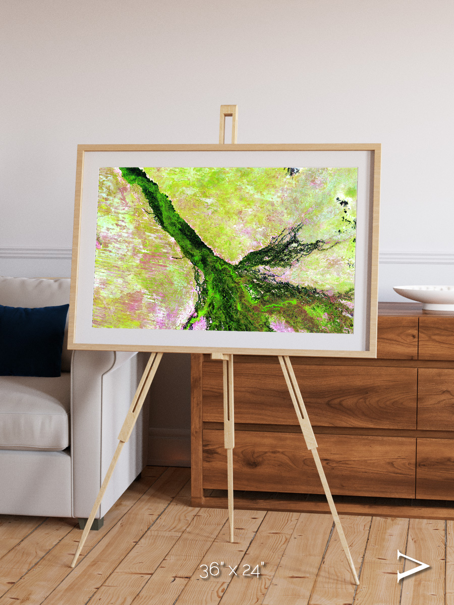 Inland Bloom, Okavango Framed & Mounted Print