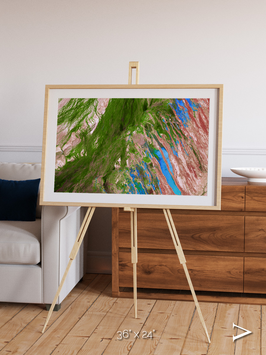 Desert Bloom, Lake Eyre Basin Framed & Mounted Print