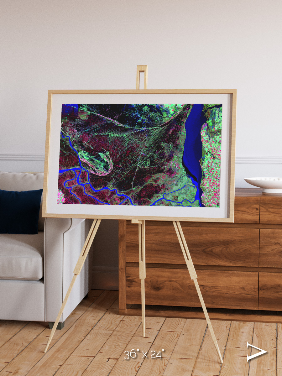 Braided Delta, Parana River Delta Framed & Mounted Print